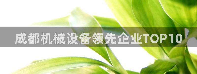 九游会中国官方网站